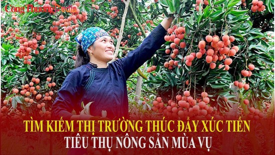 Tìm kiếm thị trường thúc đẩy xúc tiến tiêu thụ nông sản mùa vụ