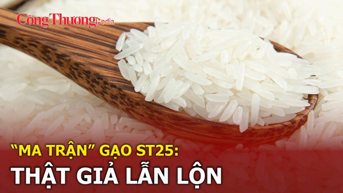 “Ma trận” gạo ST25: Thật giả lẫn lộn