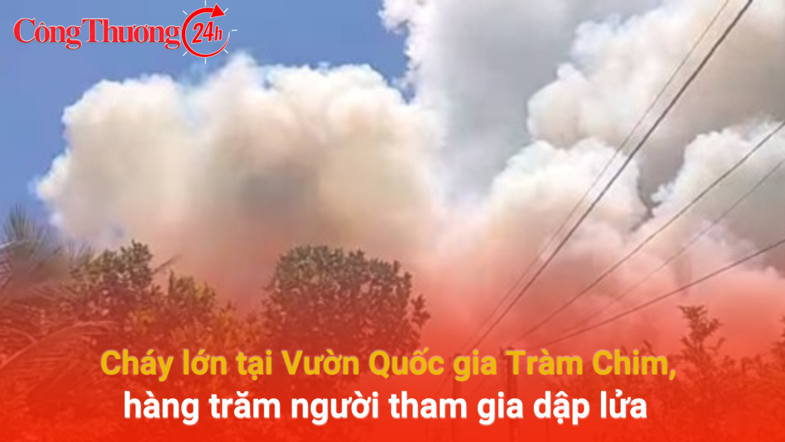 Cháy lớn tại Vườn Quốc gia Tràm Chim, hàng trăm người tham gia dập lửa