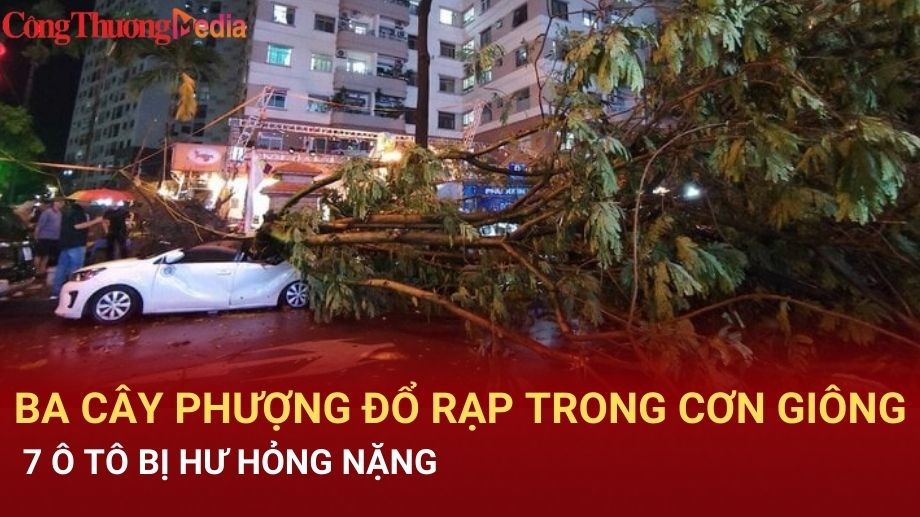 Hà Nội: Ba cây phượng đổ rạp trong cơn giông, 7 ô tô bị hư hỏng nặng