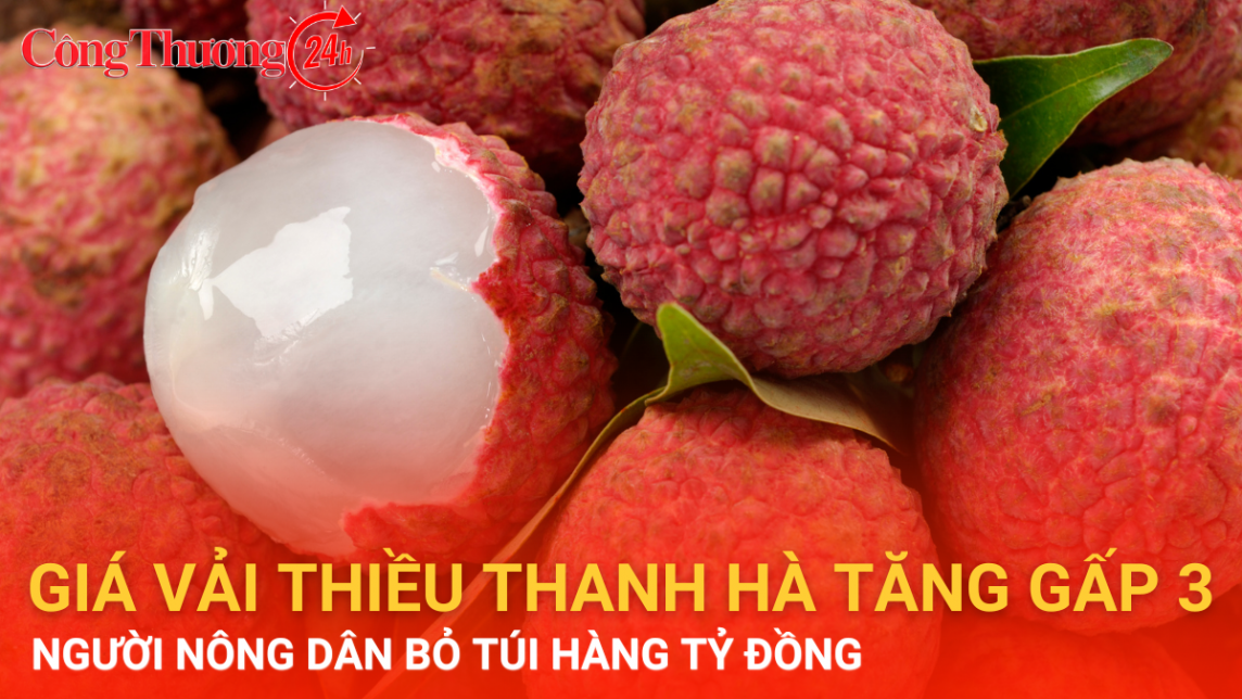 Thanh Hà, Hải Dương: Giá vải thiều tăng gấp 3, nông dân bỏ túi hàng tỷ đồng