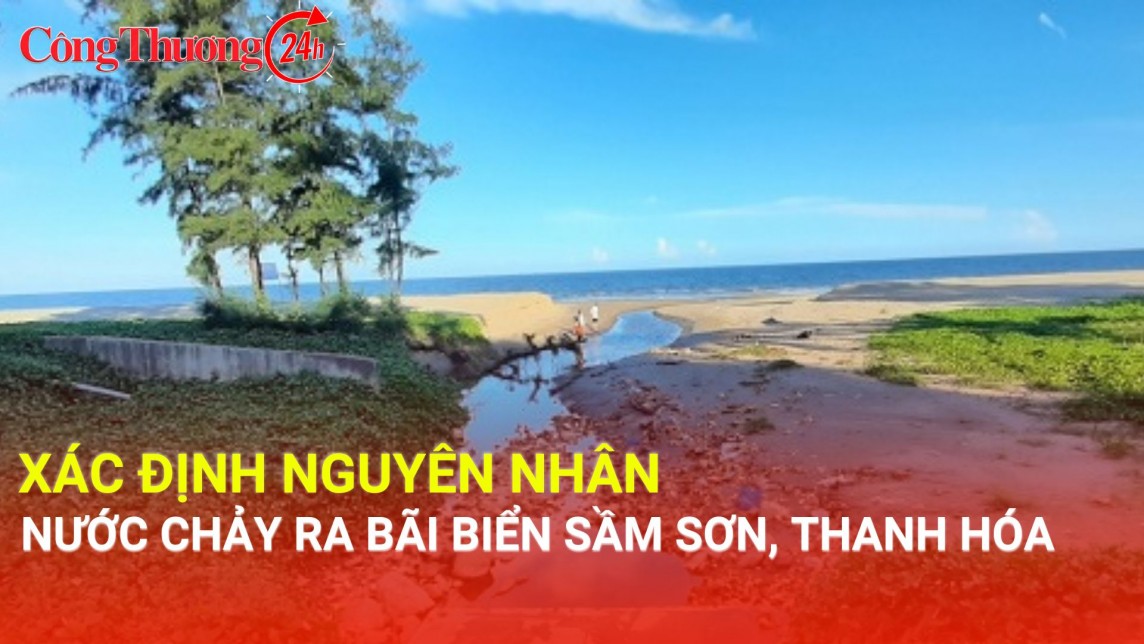 Xác định nguyên nhân nước chảy ra bãi biển Sầm Sơn, Thanh Hóa