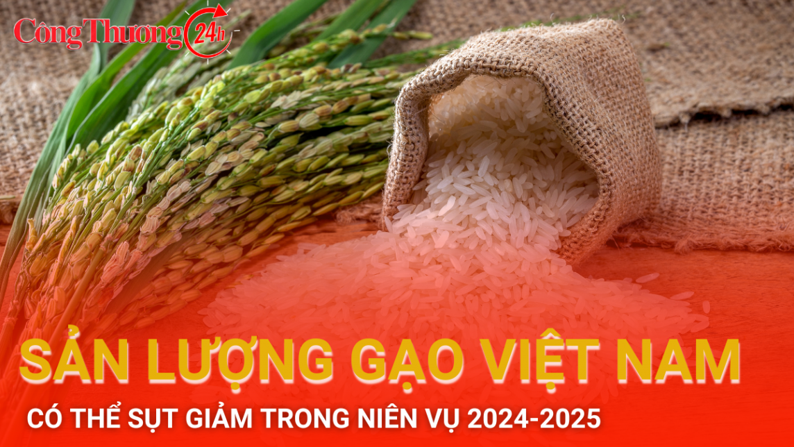 Sản lượng gạo Việt Nam có thể sụt giảm trong niên vụ 2024 - 2025