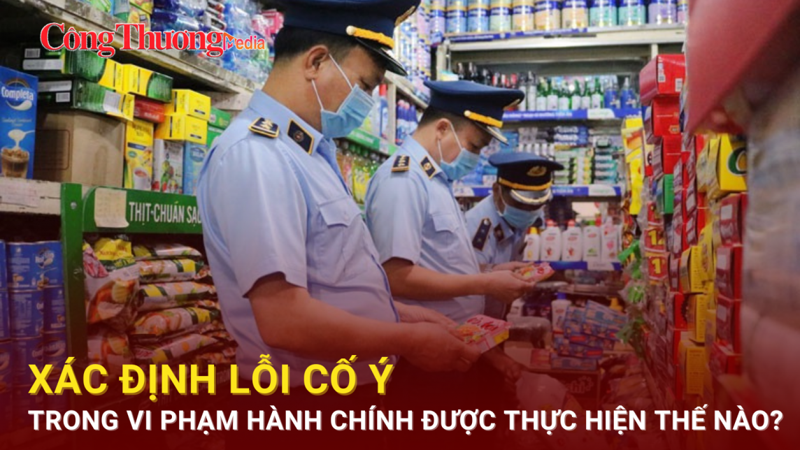 Xác định lỗi cố ý trong vi phạm hành chính được thực hiện thế nào?