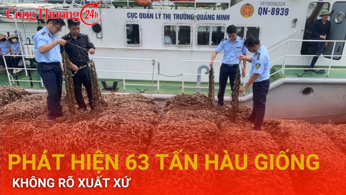 Phát hiện 63 tấn hàu giống không rõ xuất xứ