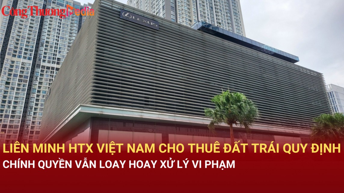 Liên minh Hợp tác xã Việt Nam cho thuê đất trái quy định, chính quyền vẫn loay hoay xử lý vi phạm