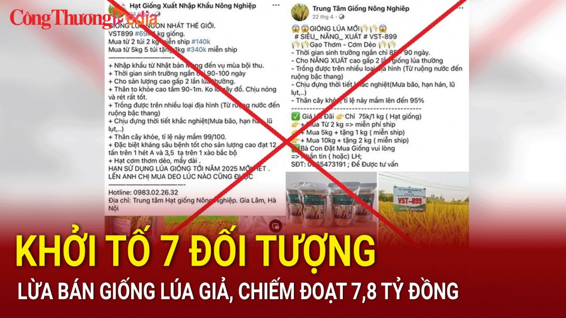 Khởi tố 7 đối tượng lừa bán giống lúa giả, chiếm đoạt 7,8 tỷ đồng