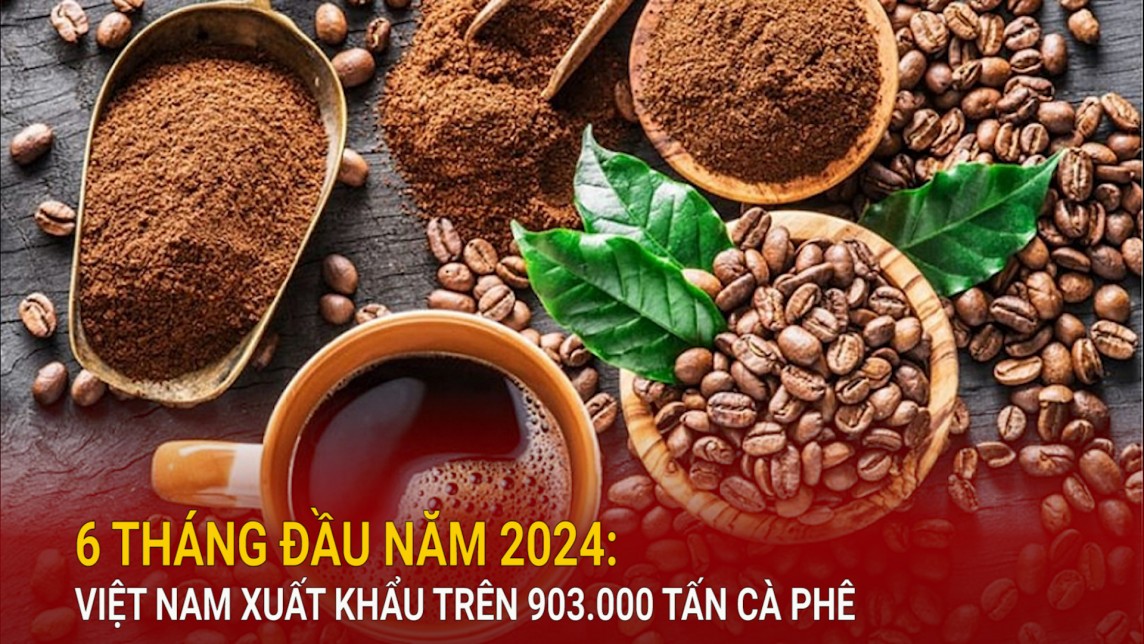 6 tháng đầu năm 2024: Việt Nam xuất khẩu trên 903.000 tấn cà phê