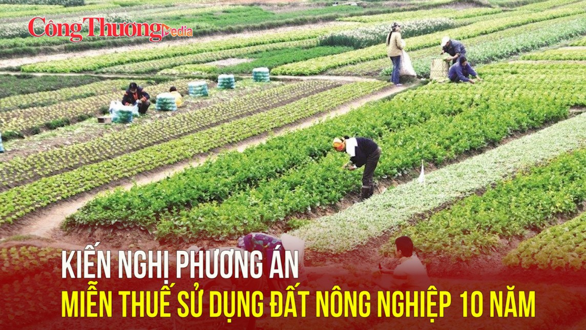 Kiến nghị phương án miễn thuế sử dụng đất nông nghiệp 10 năm