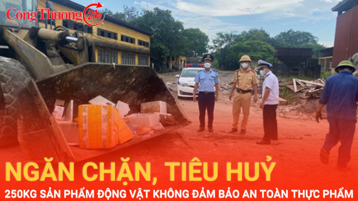 Phú Thọ: Ngăn chặn, tiêu hủy 250 kg sản phẩm động vật không đảm bảo an toàn thực phẩm