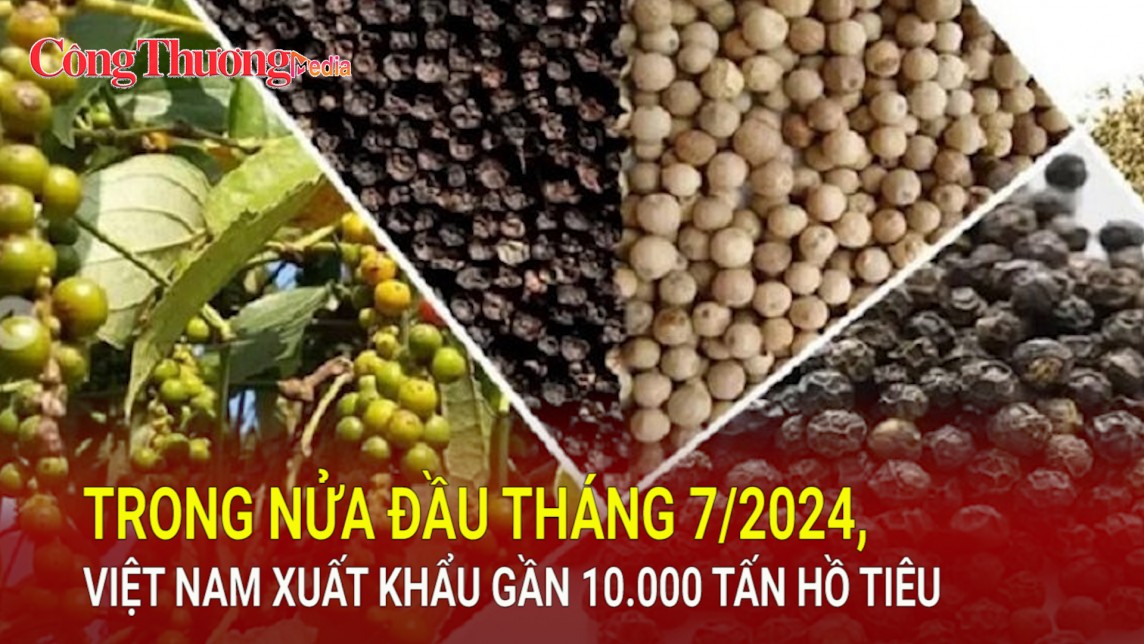 Trong nửa đầu tháng 7/2024, Việt Nam xuất khẩu gần 10.000 tấn hồ tiêu