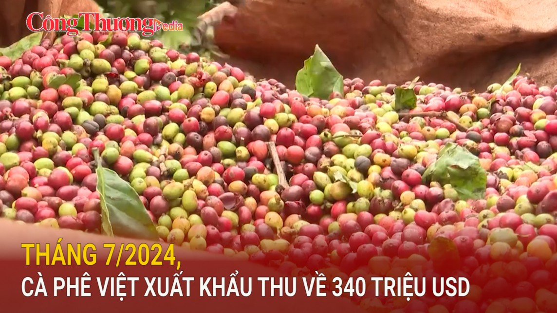 Tháng 7/2024, cà phê Việt xuất khẩu thu về 340 triệu USD