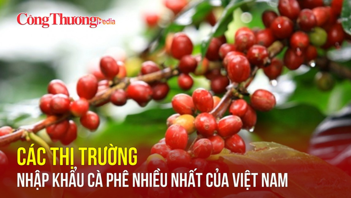 Các thị trường nhập khẩu cà phê nhiều nhất của Việt Nam