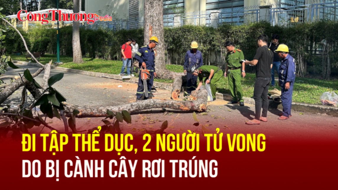 Đi tập thể dục, 2 người tử vong do bị cành cây rơi trúng