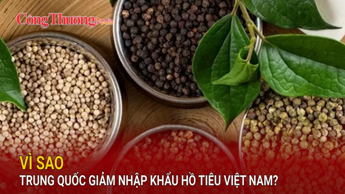 Vì sao Trung Quốc giảm nhập khẩu hồ tiêu Việt Nam?