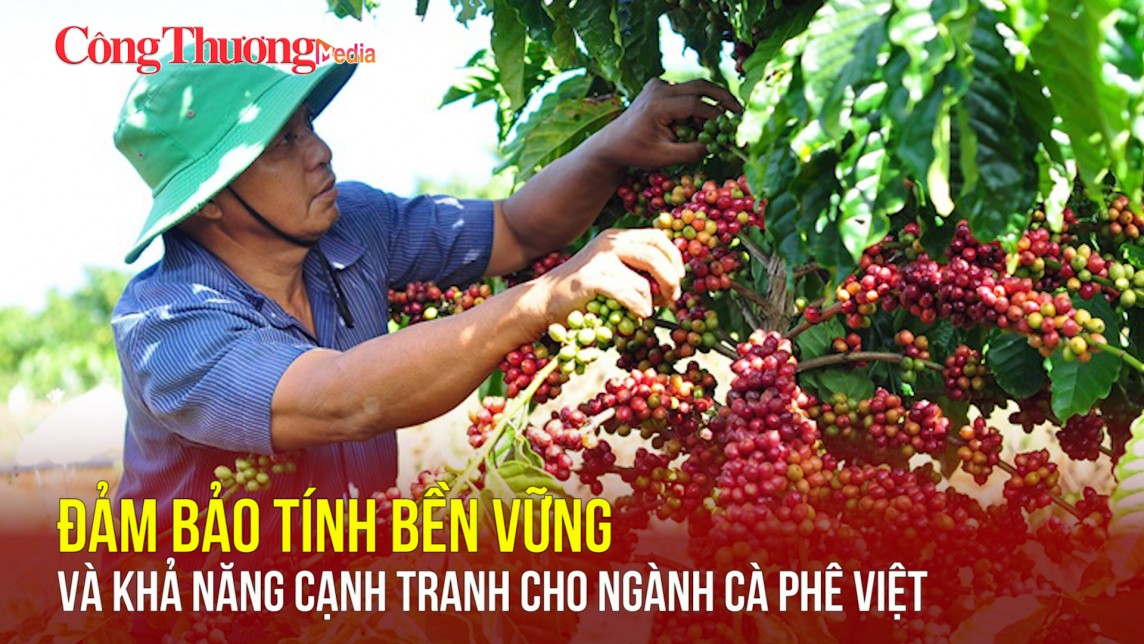 Đảm bảo tính bền vững và khả năng cạnh tranh cho ngành cà phê Việt