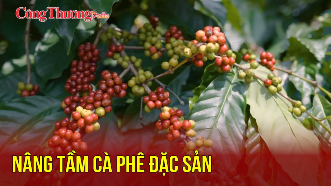 Nâng tầm cà phê đặc sản