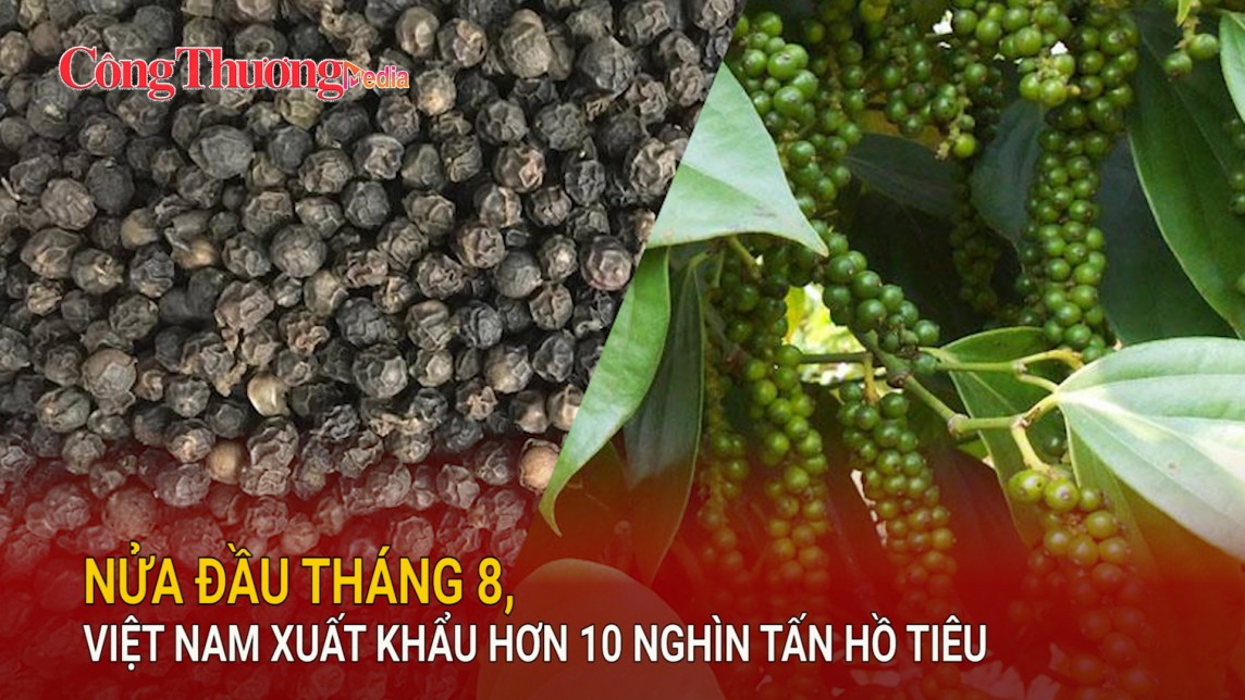 Nửa đầu tháng 8, Việt Nam xuất khẩu hơn 10 nghìn tấn hồ tiêu