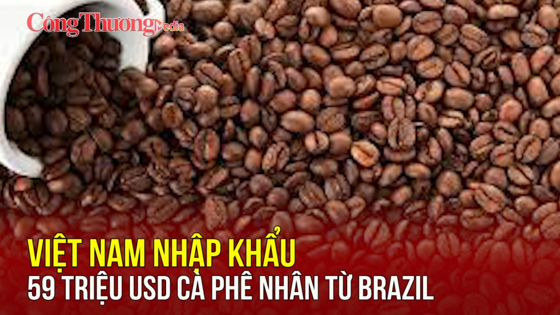 Việt Nam nhập khẩu 59 triệu USD cà phê nhân từ Brazil