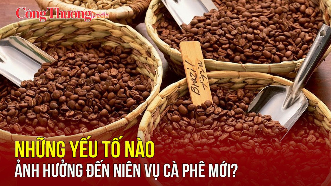 Những yếu tố nào ảnh hưởng đến niên vụ cà phê mới?