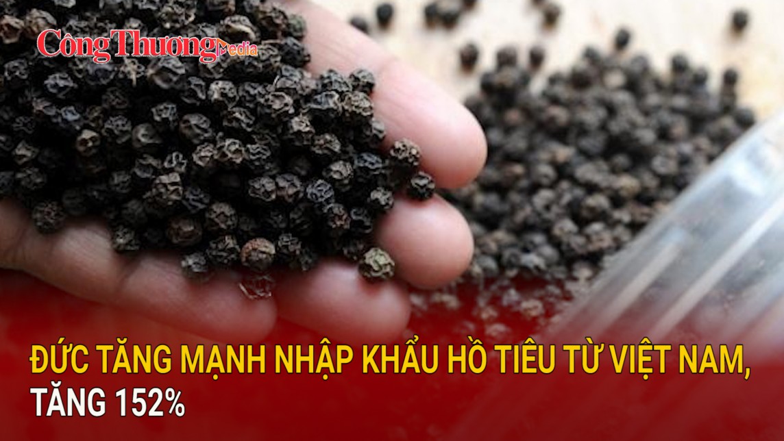 Đức tăng mạnh nhập khẩu hồ tiêu từ Việt Nam, tăng 152%