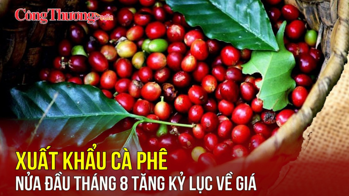 Xuất khẩu cà phê nửa đầu tháng 8 tăng kỷ lục về giá