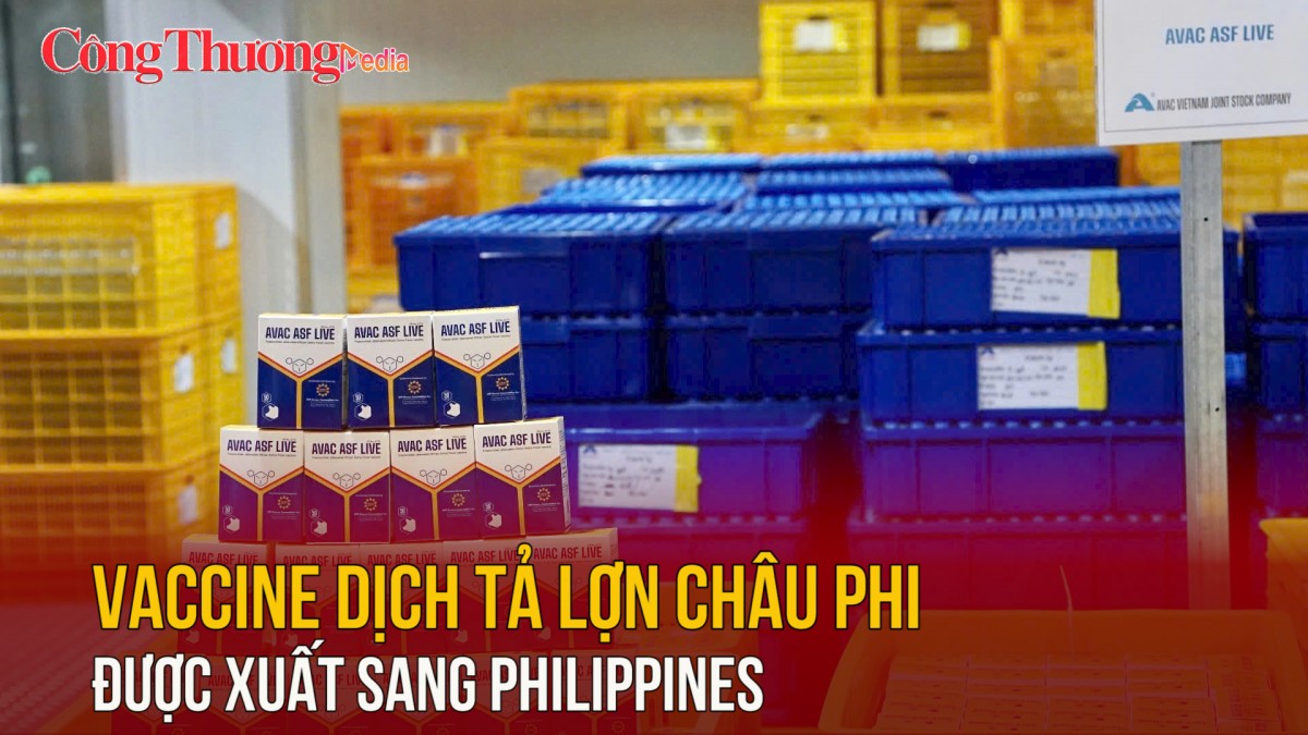 Vaccine dịch tả lợn châu Phi được xuất sang Philippines