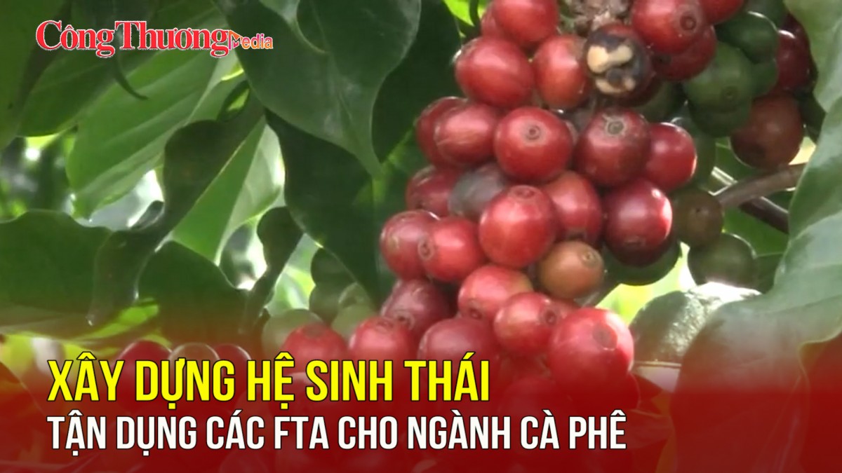 Xây dựng hệ sinh thái tận dụng các FTA cho ngành cà phê