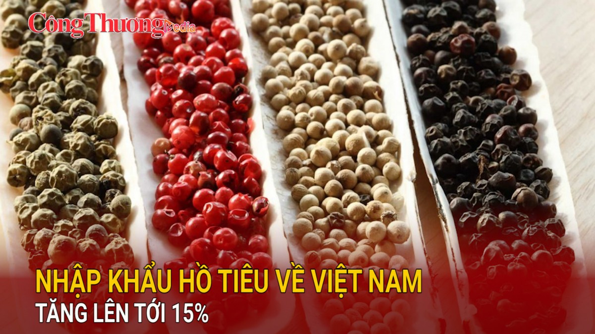 Nhập khẩu hồ tiêu về Việt Nam tăng lên tới 15%