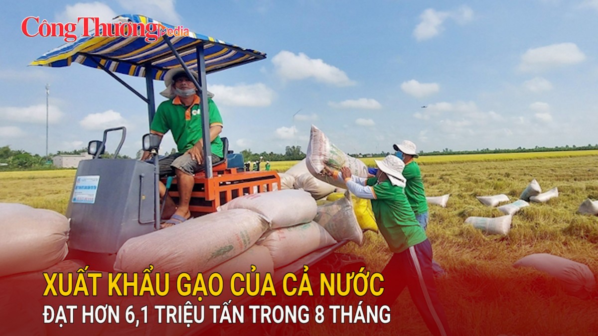 Xuất khẩu gạo của cả nước đạt hơn 6,1 triệu tấn trong 8 tháng