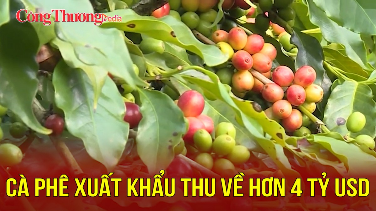 Cà phê xuất khẩu thu về hơn 4 tỷ USD