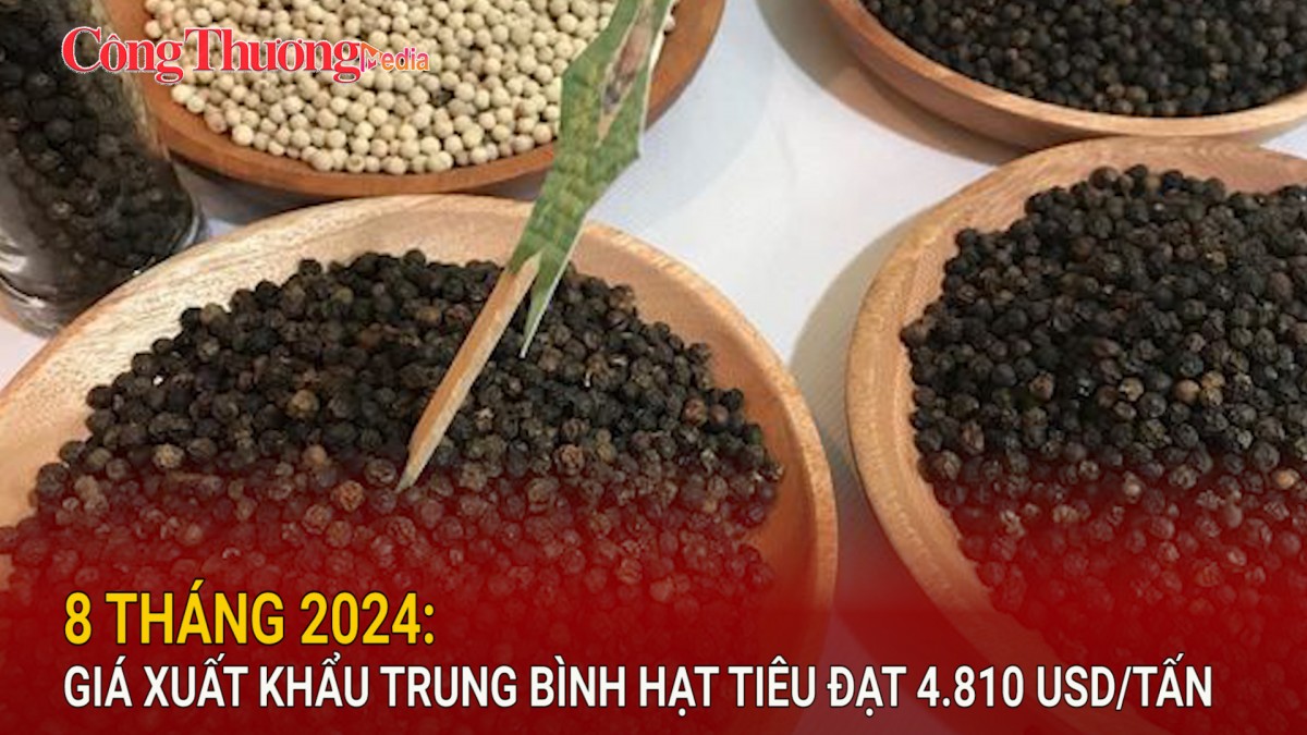 8 tháng 2024: Giá xuất khẩu trung bình hạt tiêu đạt 4.810 USD/tấn