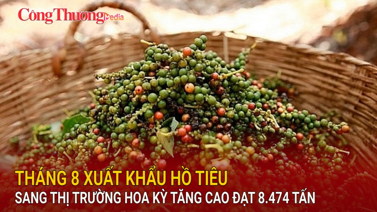 Tháng 8 xuất khẩu hồ tiêu sang thị trường Hoa Kỳ tăng cao đạt 8.474 tấn