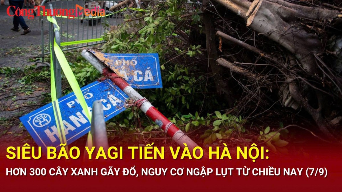 Siêu bão Yagi tiến vào Hà Nội: Hơn 300 cây xanh gãy đổ, nguy cơ ngập lụt từ chiều nay (7/9)