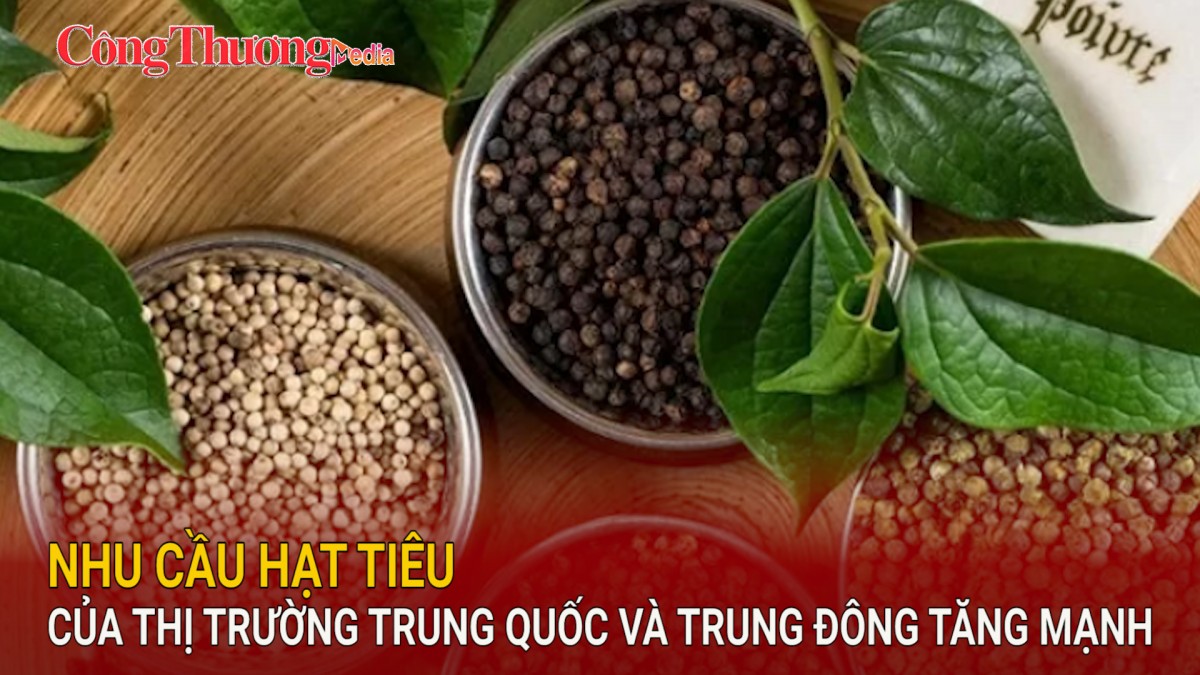 Nhu cầu hạt tiêu của thị trường Trung Quốc và Trung Đông tăng mạnh