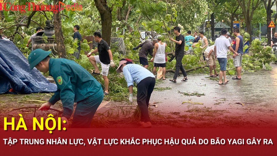 Hà Nội: Tập trung nhân lực, vật lực khắc phục hậu quả do bão Yagi gây ra