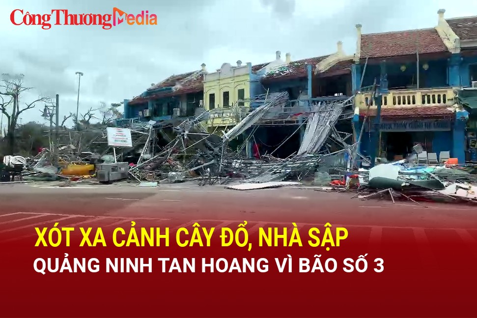 Xót xa cảnh cây đổ, nhà sập, Quảng Ninh tan hoang vì bão số 3