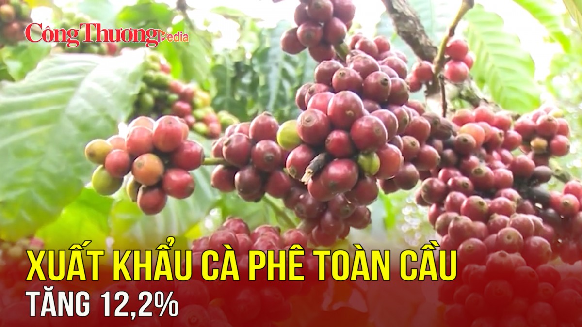 Xuất khẩu cà phê toàn cầu tăng 12,2%