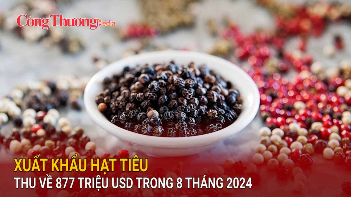 Xuất khẩu hạt tiêu thu về 877 triệu USD trong 8 tháng 2024