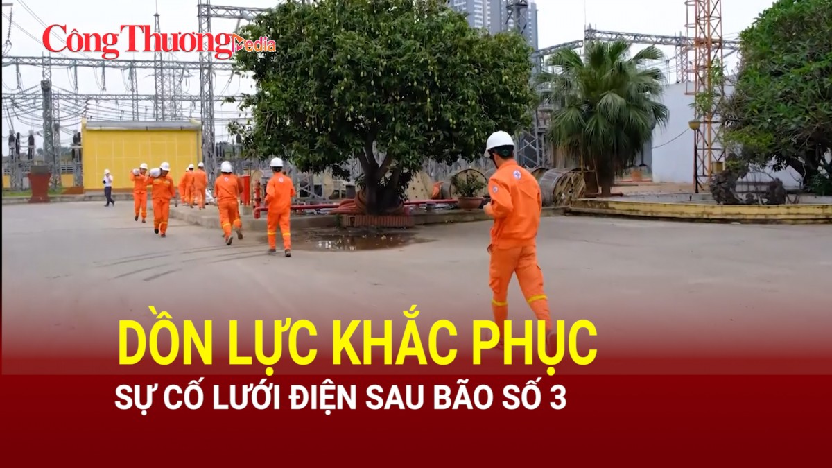 Dồn lực khắc phục sự cố lưới điện sau bão số 3