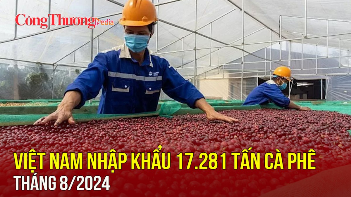 Việt Nam nhập khẩu 17.281 tấn cà phê tháng 8/2024