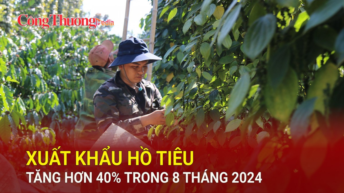 Xuất khẩu hồ tiêu tăng hơn 40% trong 8 tháng 2024