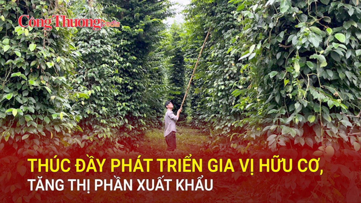 Thúc đầy phát triển gia vị hữu cơ, tăng thị phần xuất khẩu