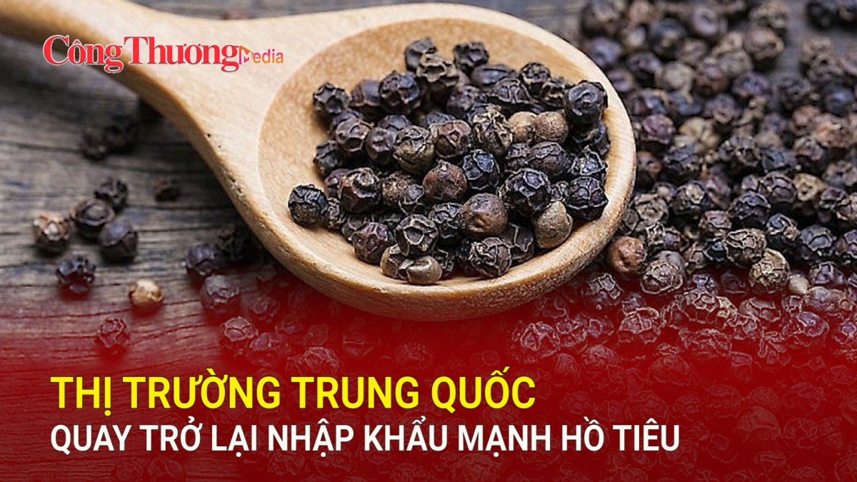 Thị trường Trung Quốc quay trở lại nhập khẩu mạnh hồ tiêu