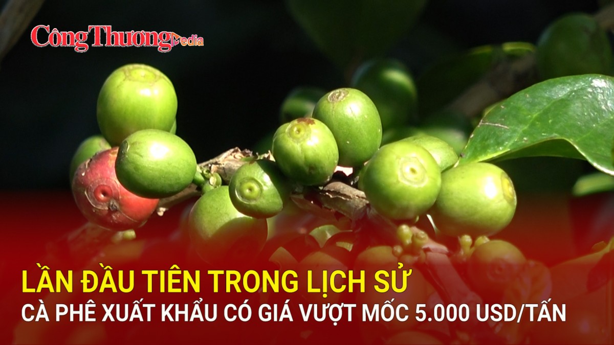 Lần đầu tiên trong lịch sử cà phê xuất khẩu có giá vượt mốc 5.000 USD/tấn