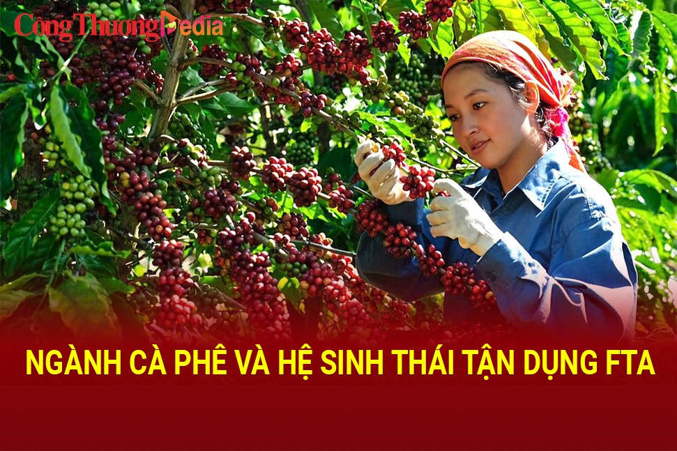 Ngành cà phê và hệ sinh thái tận dụng FTA