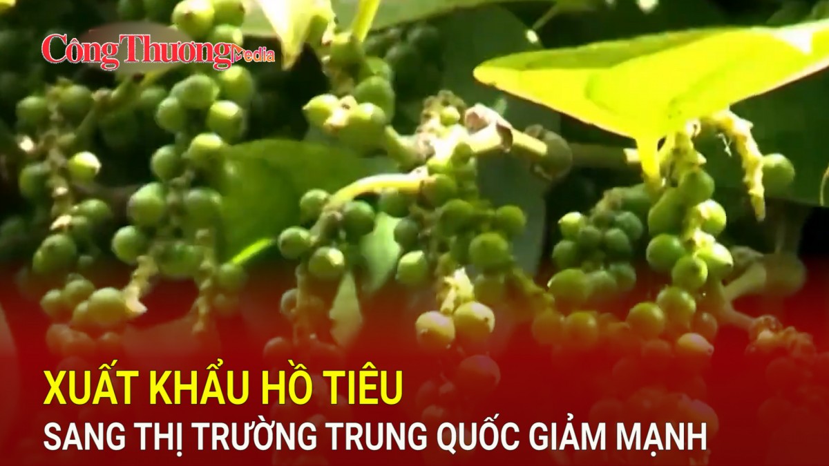 Xuất khẩu hồ tiêu sang thị trường Trung Quốc giảm mạnh