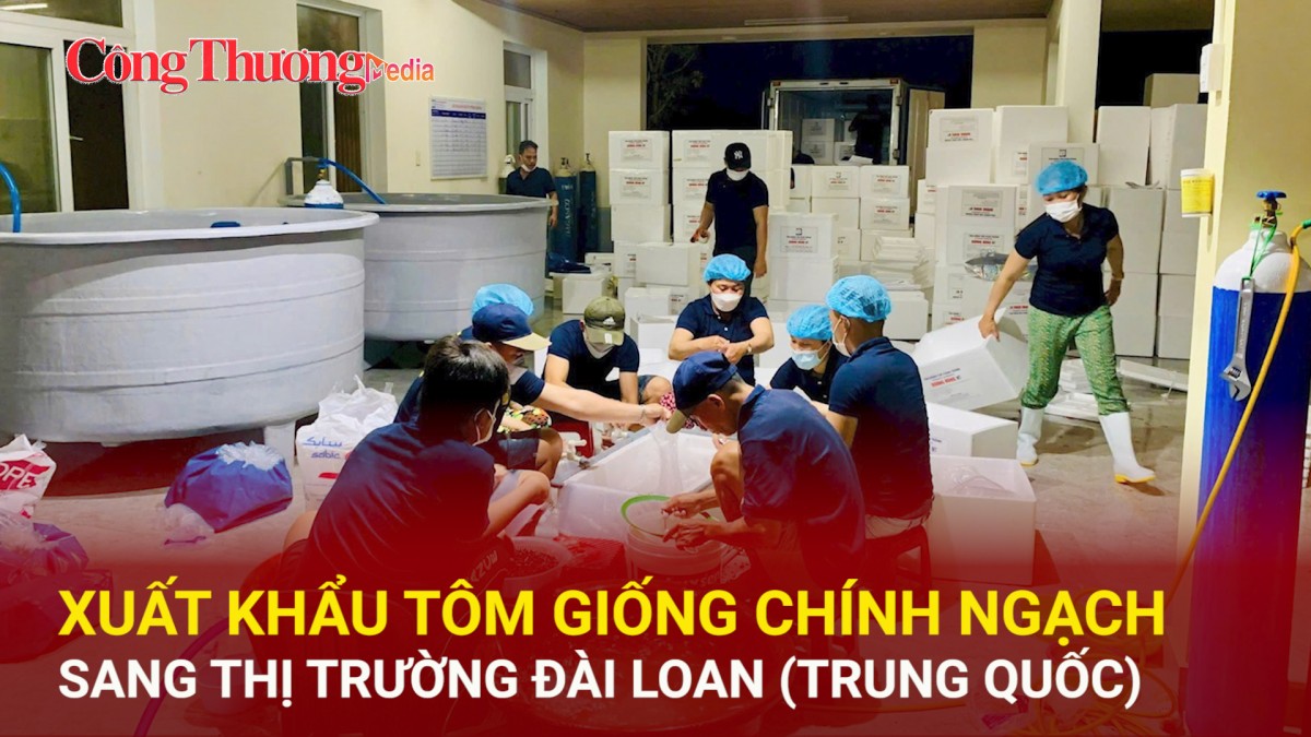 Xuất khẩu tôm giống chính ngạch sang thị trường Đài Loan (Trung Quốc)