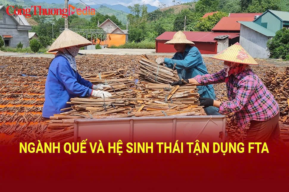 Ngành quế và hệ sinh thái tận dụng FTA