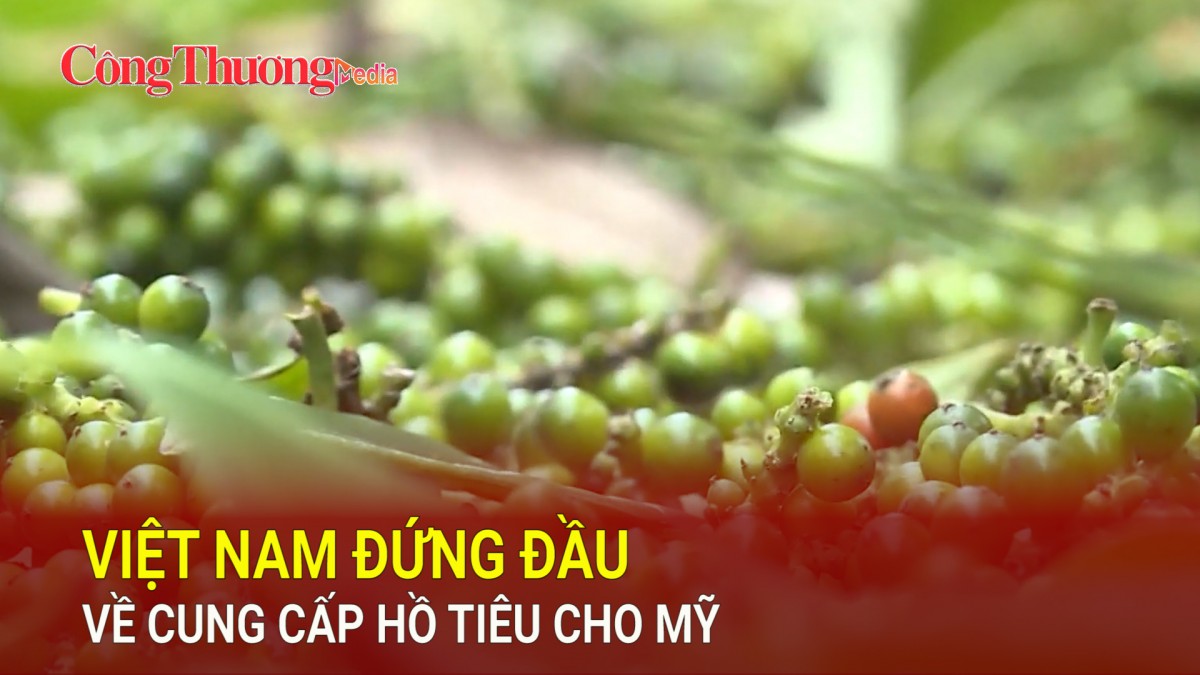 Việt Nam đứng đầu về cung cấp hồ tiêu cho Mỹ